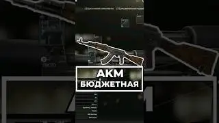 Бюджетная Сборка AKM, для выполнения квеста  Каратель 