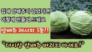 양배추 더이상 버리지 마세요. 양배추 레시피 3종, 양배추 먹고 건강해지세요~