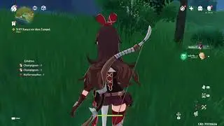 Genshin Impact Wifi Lost