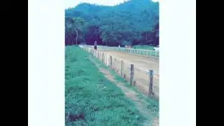 Carreras de caballos | El Metichon 17