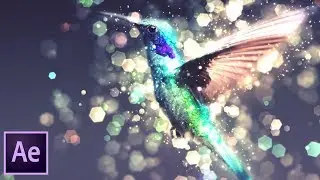 Shimmer Motion Kit for After Effects | Product Tutorial