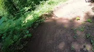 Thurston Hills - Acer Spades trail  6/1/19