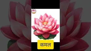 फूलों के नाम | Flowers Name in Hindi #flowersname #hindi #shorts