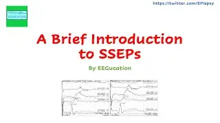 A Brief Introduction to Median SSEP's
