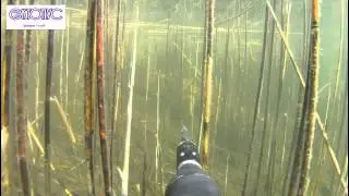 Озера Пустошки, где прозрачная вода
