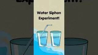 Water Siphon Experiment! #sciencetricks