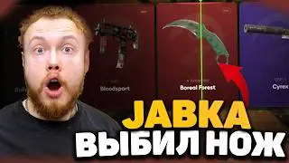Проверка кейсов на Jabka Skin 2025