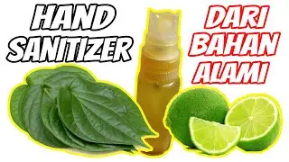 Cara membuat hand sanitizer dari daun sirih dan jeruk nipis | diy hand sanitizer