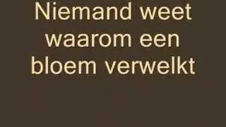 Volumia - hou me vast
