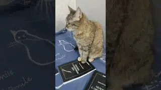 Человек с синдромом дна 