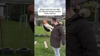 Když někdo šikanuje tvoje dítě!