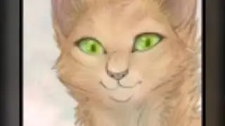 Кто ты из котов воителей по гороскопу? /Аня cat/