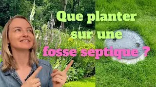 Que planter sur une fosse septique ?