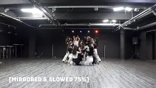 LEE CHAE YEON (이채연) - HUSH HUSH (Dance Practice Mirrored & Slowed 75%)