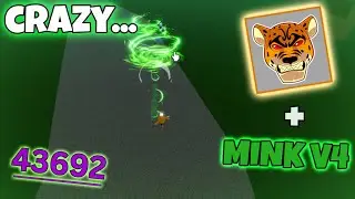 Leopard + Mink V4 is UNSTOPPABLE... | Bloxfruits Bounty Hunt