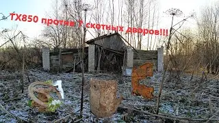 СКОТНЫЕ ДВОРЫ, ДА ОНИ ПОВСЮДУ | ТХ850 ХОРОШ ПО ЧЕРМЕТУ