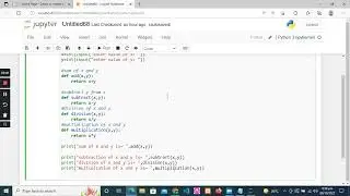 python function and user input