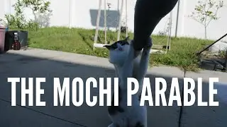 The Mochi Parable (2023)