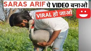 Saras Arif पे वीडियो बनाओ Viral हो जाओ 🔥आरिफ़ को सारस वापस मिलेगा  #shorts #manojdey