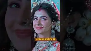महा शिवरात्रि 🙏बेर के पेड़ को आशीर्वाद #shortsvideo