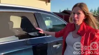Каркасные автошторки Эско  Лиса Рулит