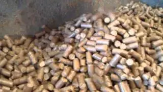Pellet Mill PE-250 BRONTO