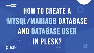 How to create a MySQL/MariaDB Database and Database User in Plesk? | MilesWeb