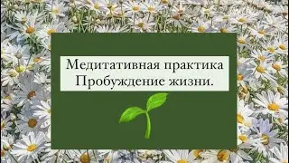20 июня 2023 г.