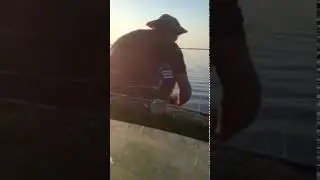 Это надо СЛЫШАТЬ!!! смотреть до конца!!!