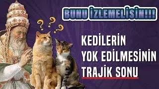 Papa’nın Kedilere Savaş Açtığı O An