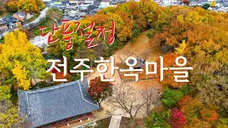 [전주한옥마을] 단풍절정!! 지금 가봐야합니다