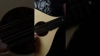 Irish #Amon #Amarth Bouzouki #AmonAmarth #riff