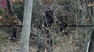 BALLERINA STYLE - Sniper