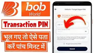 BOB World Transaction PIN Kaise Pata Kare 2024 | How to Forgot/Reset Transaction PIN in BOB World