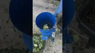 Измельчитель травы и овощей, сена Дарья-1 на 220В, мотор 1,5 кВт/час