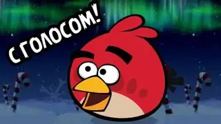 Первое видео с голосом!