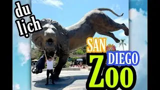 Sở Thú ở Mỹ Ra Sao San Diego Zoo. Part 1 San Diego zoo. #sandiego #Cuocsongmy