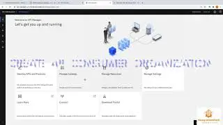 End-to-end demo of api manager and consumer portal - IBM API Connect v10