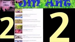 Top 5 chaine de fourmis