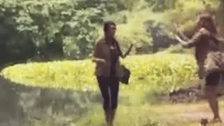 Buaya sange