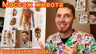 Массаж живота. Модно ли мять живот?