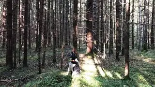 Непонятная ситуация в ходе нахаживания щенка лайки! Что это было???!!!