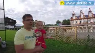 База отдыха Три Медведя Горный Алтай территория