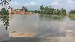 Deowal to Kotmomin and Bhikki Road @deowal