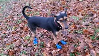 Неприятность эту мы переживём