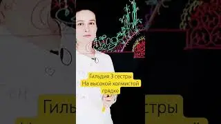 Пермакультурный огород, гильдия 3 сестры #огород #пермакультура #дача #грядки #зеппхольцер #тыквы