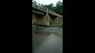 Ngintip abg mandi