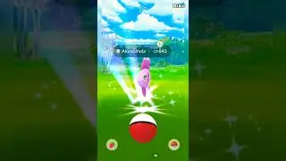 Shiny Alomomola✨ | Water Festival is so far Best Event for Getting Shinies | BIKU