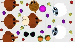 MOPE.IO - RUNNING FOR MAMMOTH AND JETY DO NOT BORN THE MOPE IO PLAY
