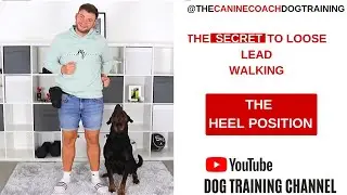 The Heel Position